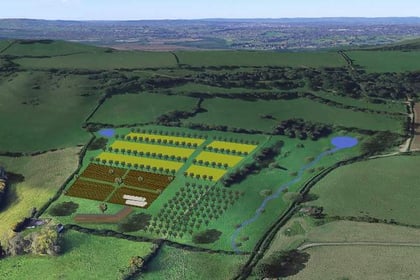 Councillors and top officers debate eco farm plans for one of Bath's most sensitive sites