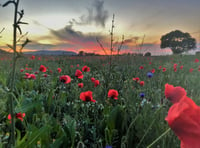 Dressing of the Graves ceremonies to  take place in remembrance