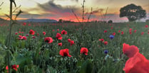 Dressing of the Graves ceremonies to  take place in remembrance