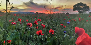 Dressing of the Graves ceremonies to  take place in remembrance