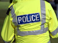 Police appeal as handbag stolen from woman, 93