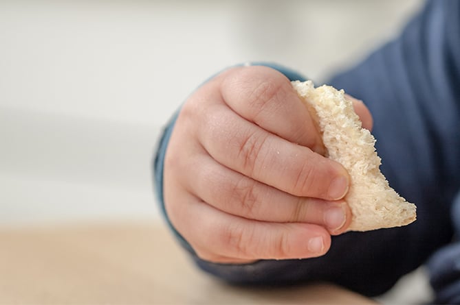 Stock photo for toddler, child, food