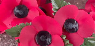 B&NES Council stop funding Remembrance Sunday, causing political spat