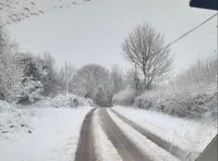 Roads, schools and buses come to a halt as snow covers Somerset