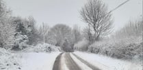 Roads, schools and buses come to a halt as snow covers Somerset