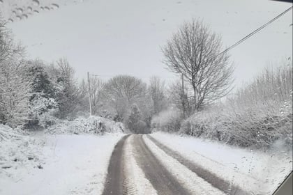 Roads, schools and buses come to a halt as snow covers Somerset