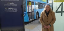 Petition launched in bid to reinstate axed bus services