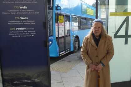 Petition launched in bid to reinstate axed bus services