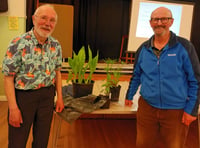 Kilmersdon Gardeners: Common and Binomial plants