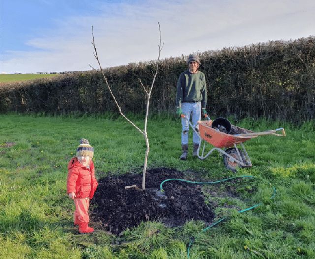 More trees please! 