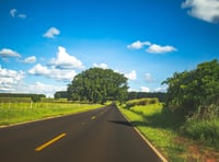 Essential highway verge cutting 