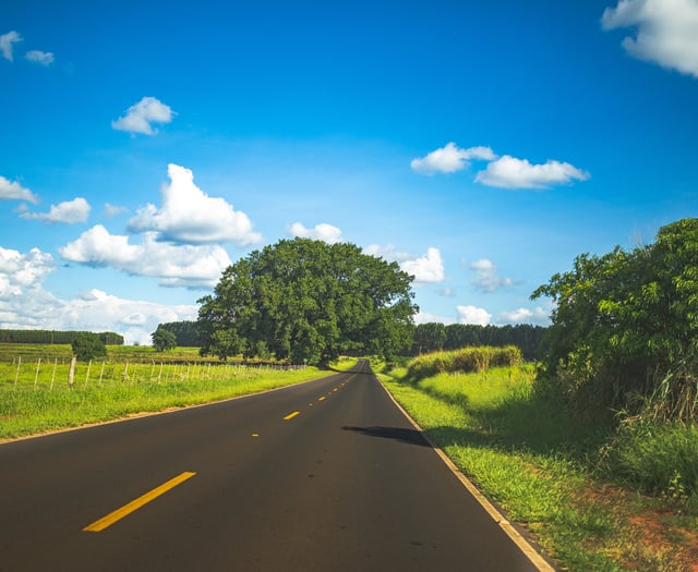 Essential highway verge cutting 