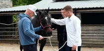 Animal therapy workshop held with rescued critters for ex offenders