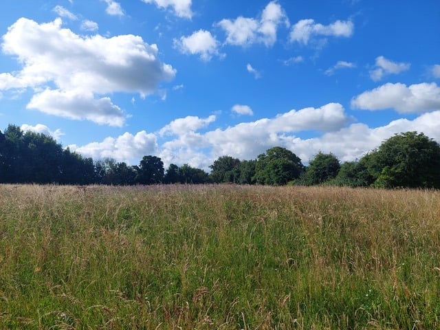 Packsaddle Fields On Packsaddle Way In Frome.