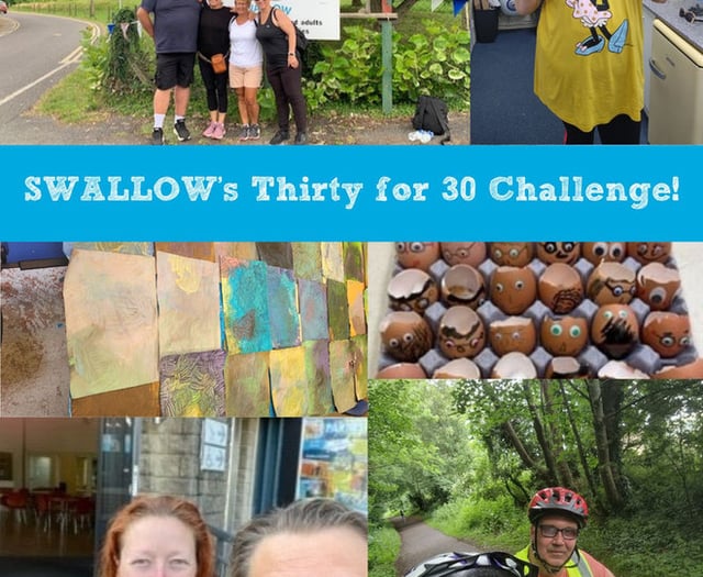 Can you help SWALLOW raise funds for their 30th anniversary?