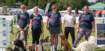 Furry friends compete at world's largest agility festival