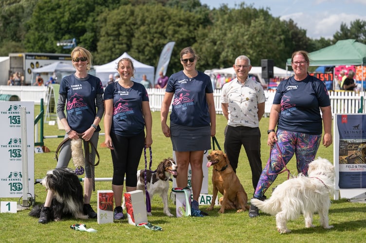 Kennel Club Teams Final (Intermediate) Credit The Kennel Club - Y.jpg