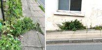 Issues with weeds as Council no longer uses weedkiller