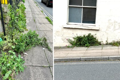 Issues with weeds as Council no longer uses weedkiller