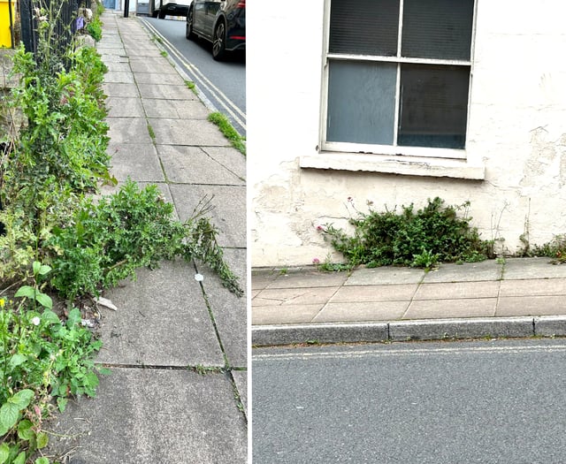 Issues with weeds as Council no longer uses weedkiller