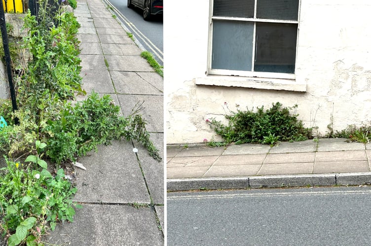 Overgrown weeds on Morford Street in Bath.