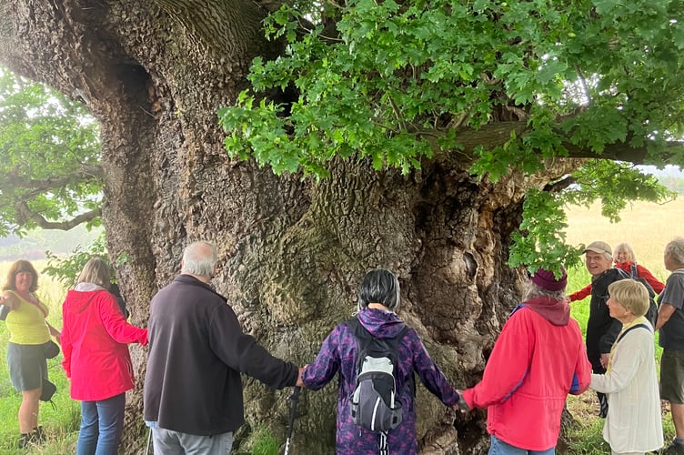 Chew Valley Plants Trees is encouraging biodiversity within the Chew Valley.