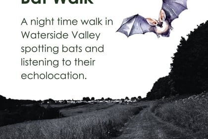 Somer Valley Rediscovered are going batty!