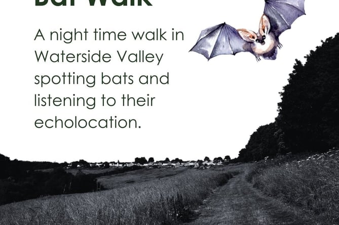 bat walk somer valley rediscovered