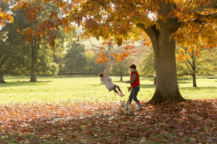 National Trust, Montacute House�