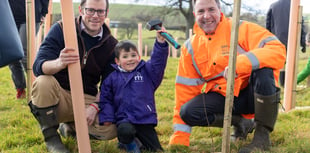 Bath and North East Somerset residents urged to plant trees