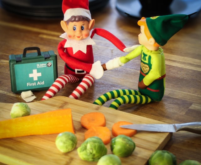 "Look after your elf this Christmas" say St John Ambulance Service