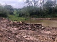 Frys Bottom Wood, Clutton is subject to "ecological vandalism"