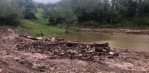 Frys Bottom Wood, Clutton is subject to "ecological vandalism"