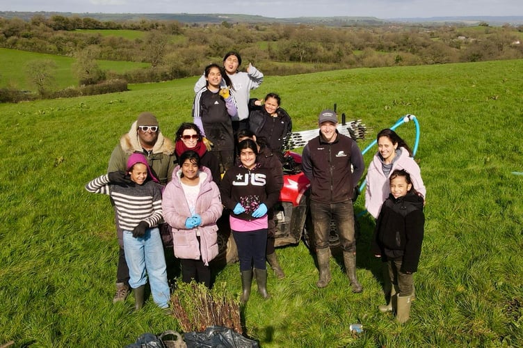 chew valley plants trees