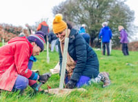 Record breaking number of trees planted by local charity