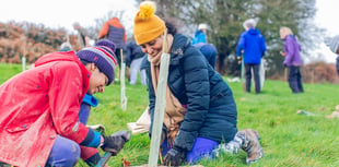 Record breaking number of trees planted by local charity