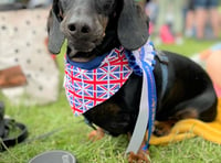 Peasedown Dog Show to return this year at Party in the Park festival