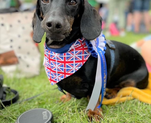 Peasedown Dog Show to return this year at Party in the Park festival