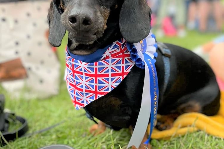 PITP Peasedown Dog Show