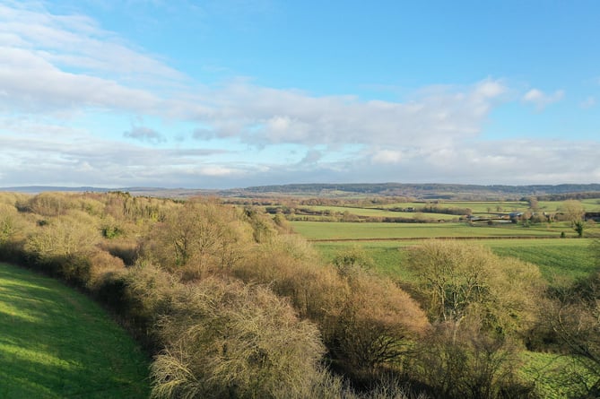 Heal Rewilding, Somerset