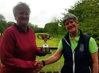 Erica is tops in Palmer Cup at Wells 