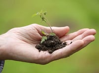 Mendip Gardening Club: Mendip gardeners are going batty!