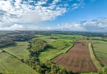 Avon Needs Trees secures 422 acres for "the largest new woodland in a generation"