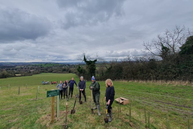 Chew Valley Plants Trees