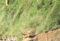 Video: Miracle escape after car goes over Somerset cliff