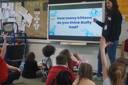 Bath Cats and Dogs Home launches pet care workshops for primary pupils