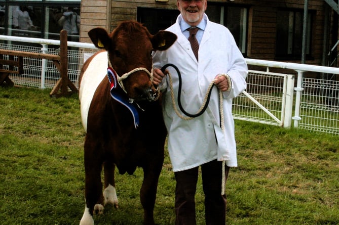 Andrew Tanner and his champion Sheeted Somerset cattle