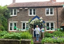 Green Open Homes and Gardens event showcases biodiversity