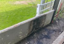 Football club avoids 'absolute carnage' after deliberate fire