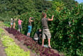 The Community Farm invites all to engage in farming and conservation